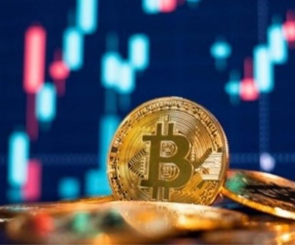 Why is it Important to Invest in Bitcoin? Check it Out Here