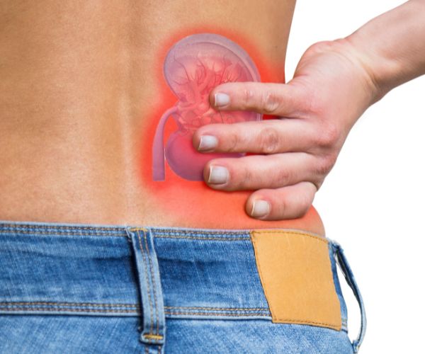 The Effects of Diabetes on the Kidneys: What You Need to Know