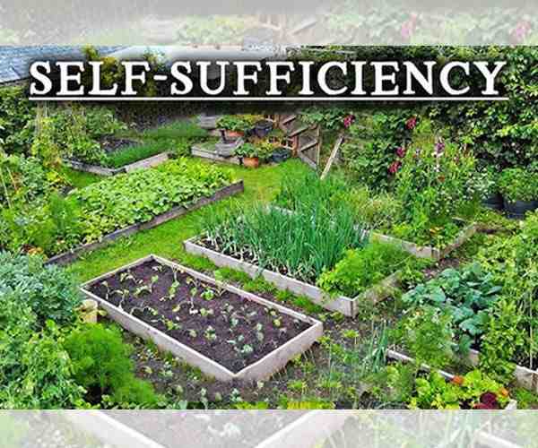 Basic Skills for self Sufficiency