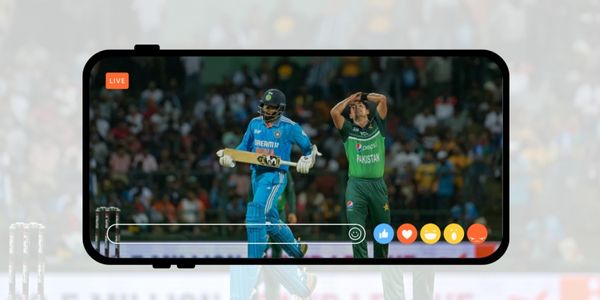 Top Cricket Leagues to Follow - Fonte Canva